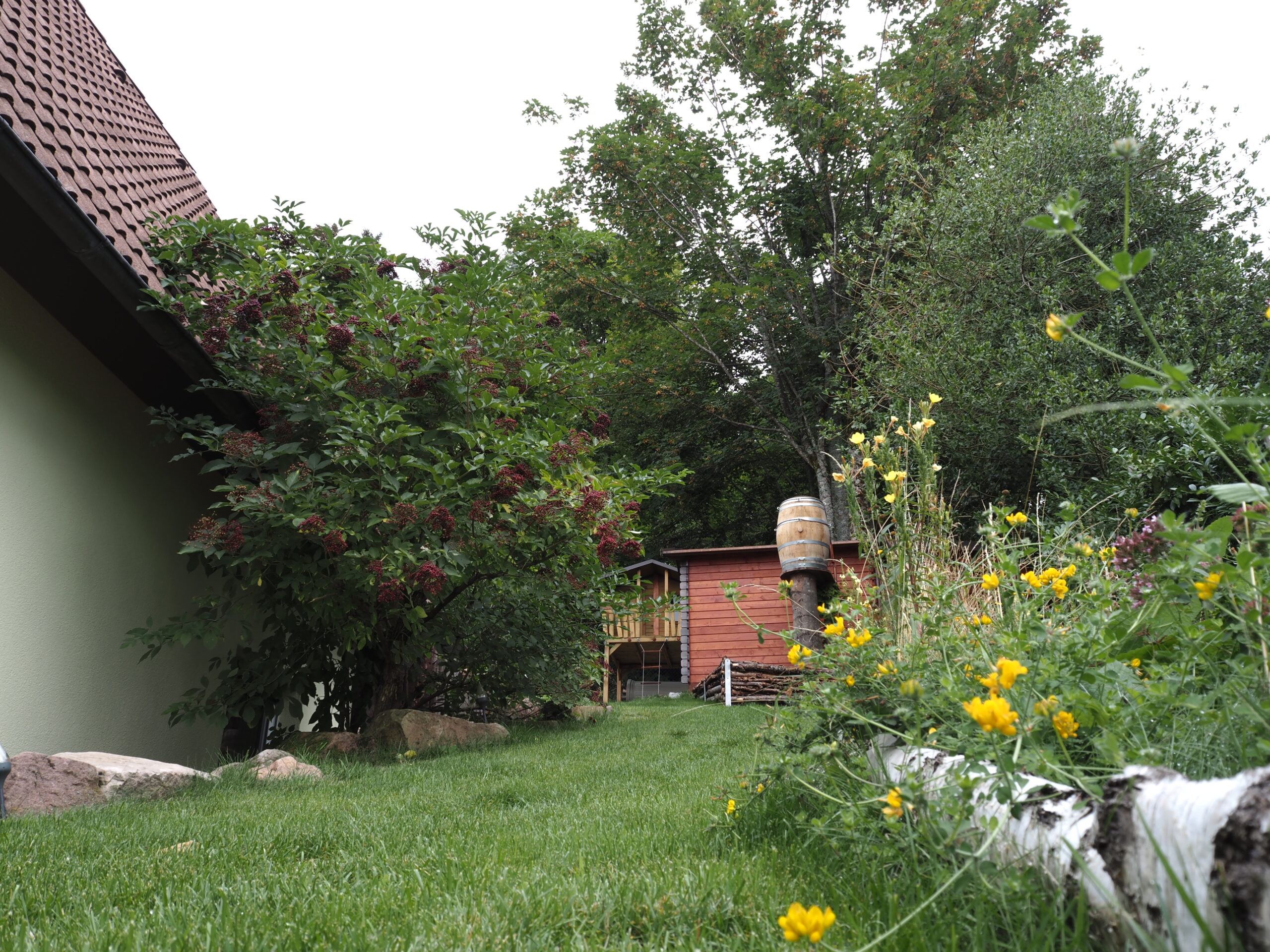 Garten hinter Ferienhaus Sasbachwalden